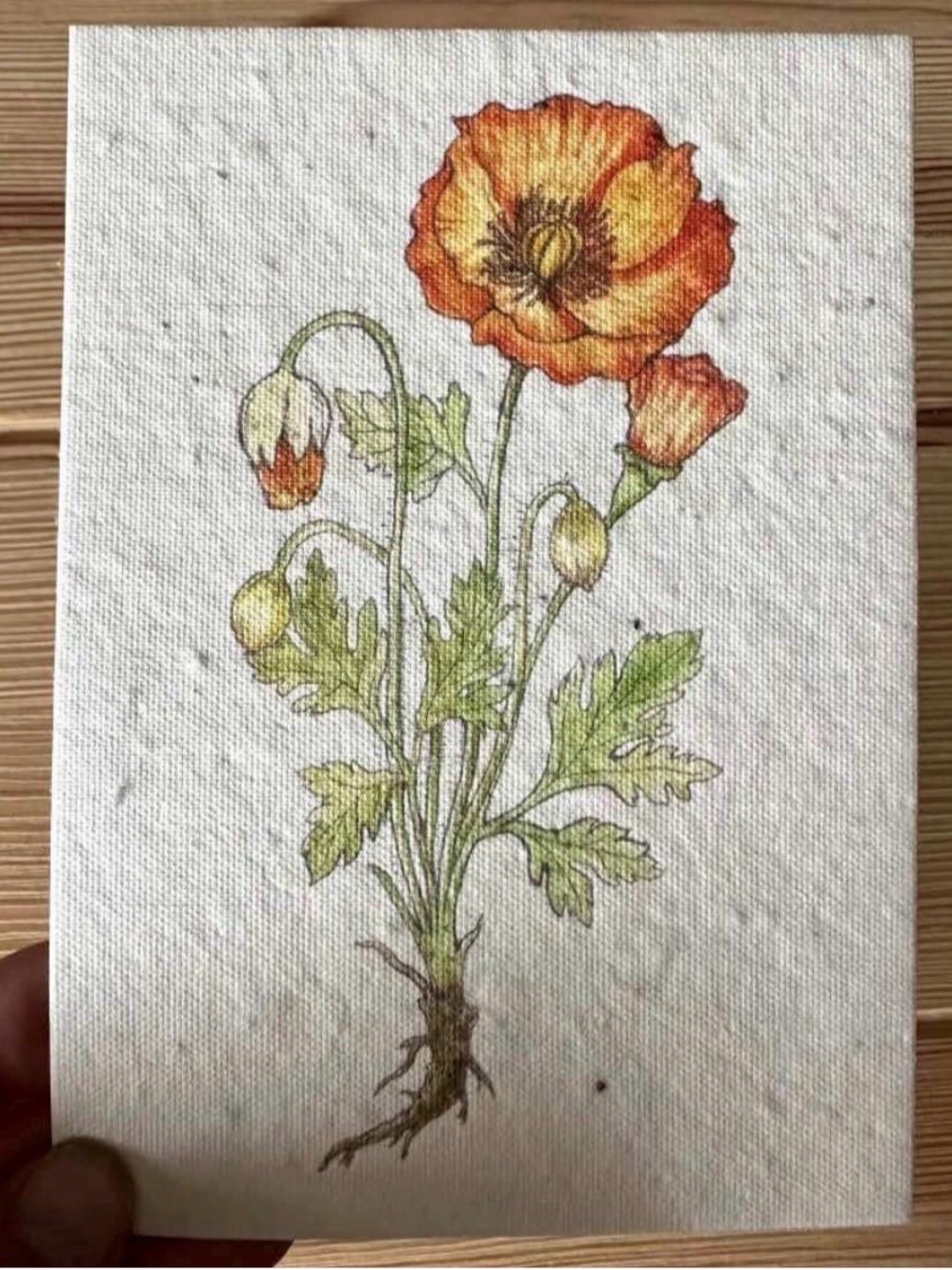 Orange Poppy Plantable Wildflower Seed Greeting Card